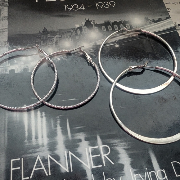 Elegant Silver Hoop Earrings Set - Picture 2 of 7